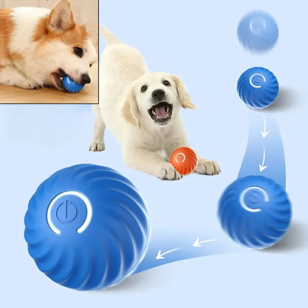 Automatic bouncing glowing dog ball for small breeds