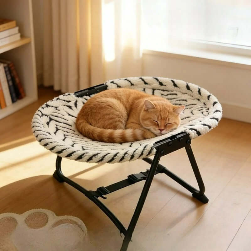 elevated pet bed