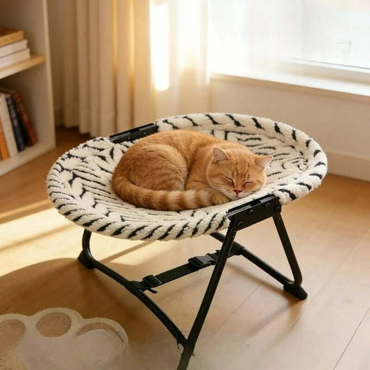 elevated pet bed