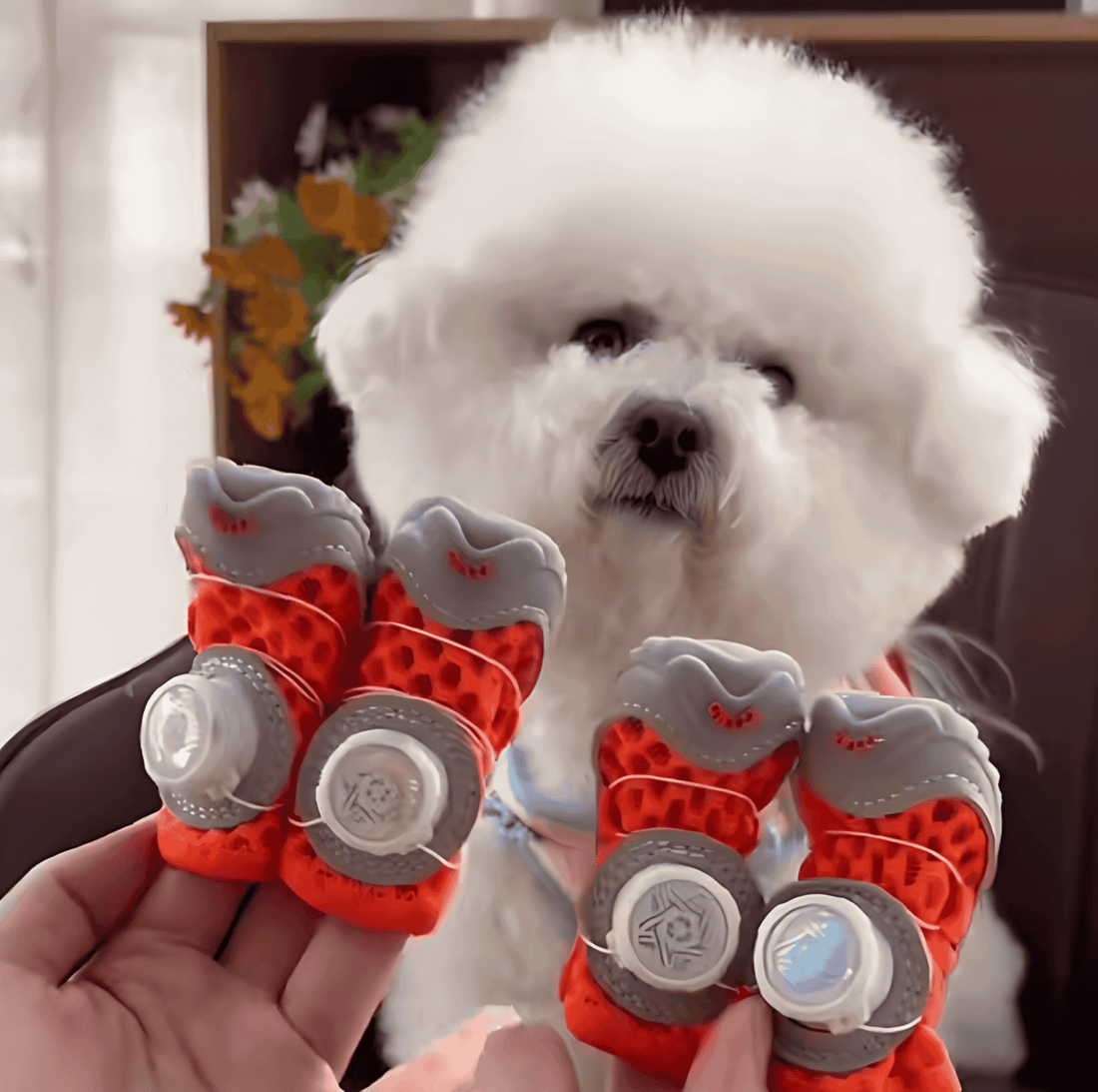 Breathable Non-Slip Dog Shoes