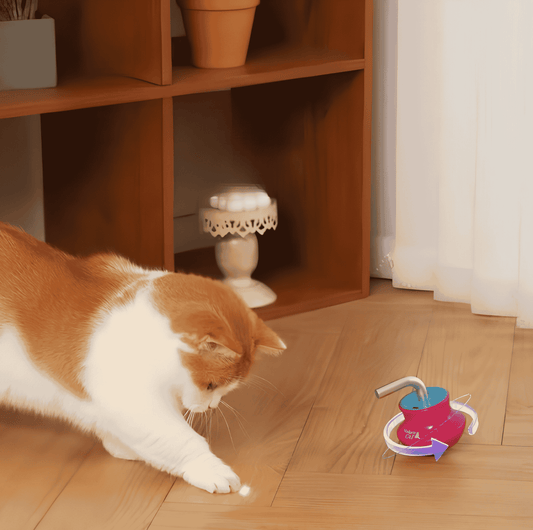 best cat toys for indoor cats