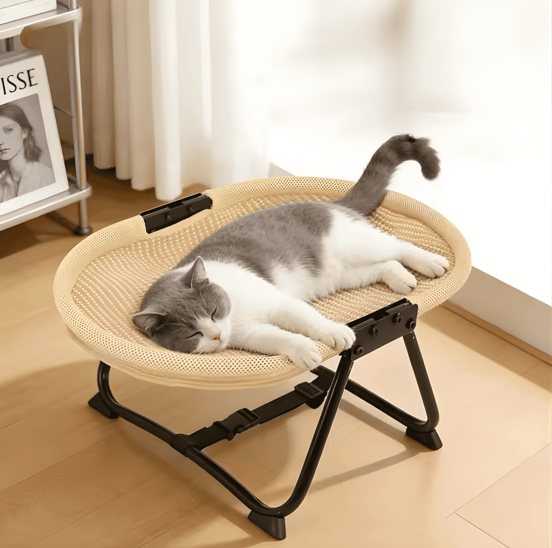 elevated cat bed