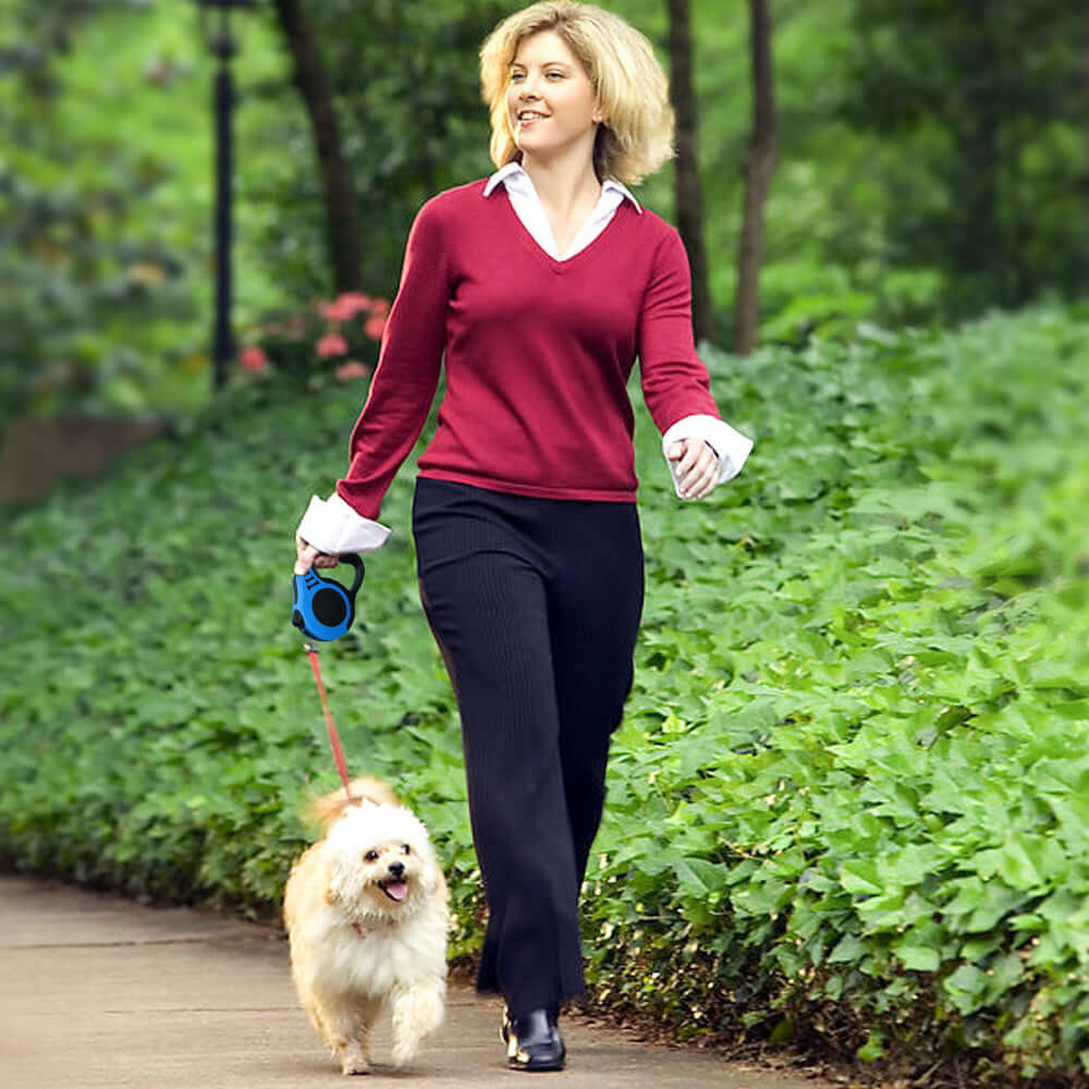 Pet owner walking dog with retractable leash outdoors
