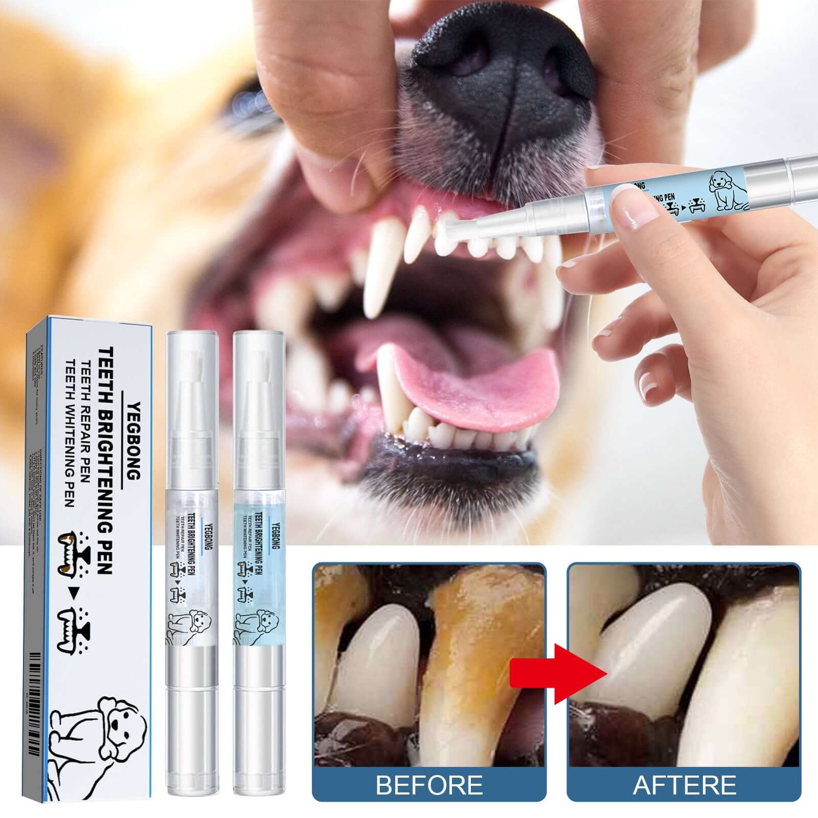 Pet owner gently brushing gel on dog’s teeth using the teeth whitening pen