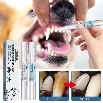 Pet owner gently brushing gel on dog’s teeth using the teeth whitening pen