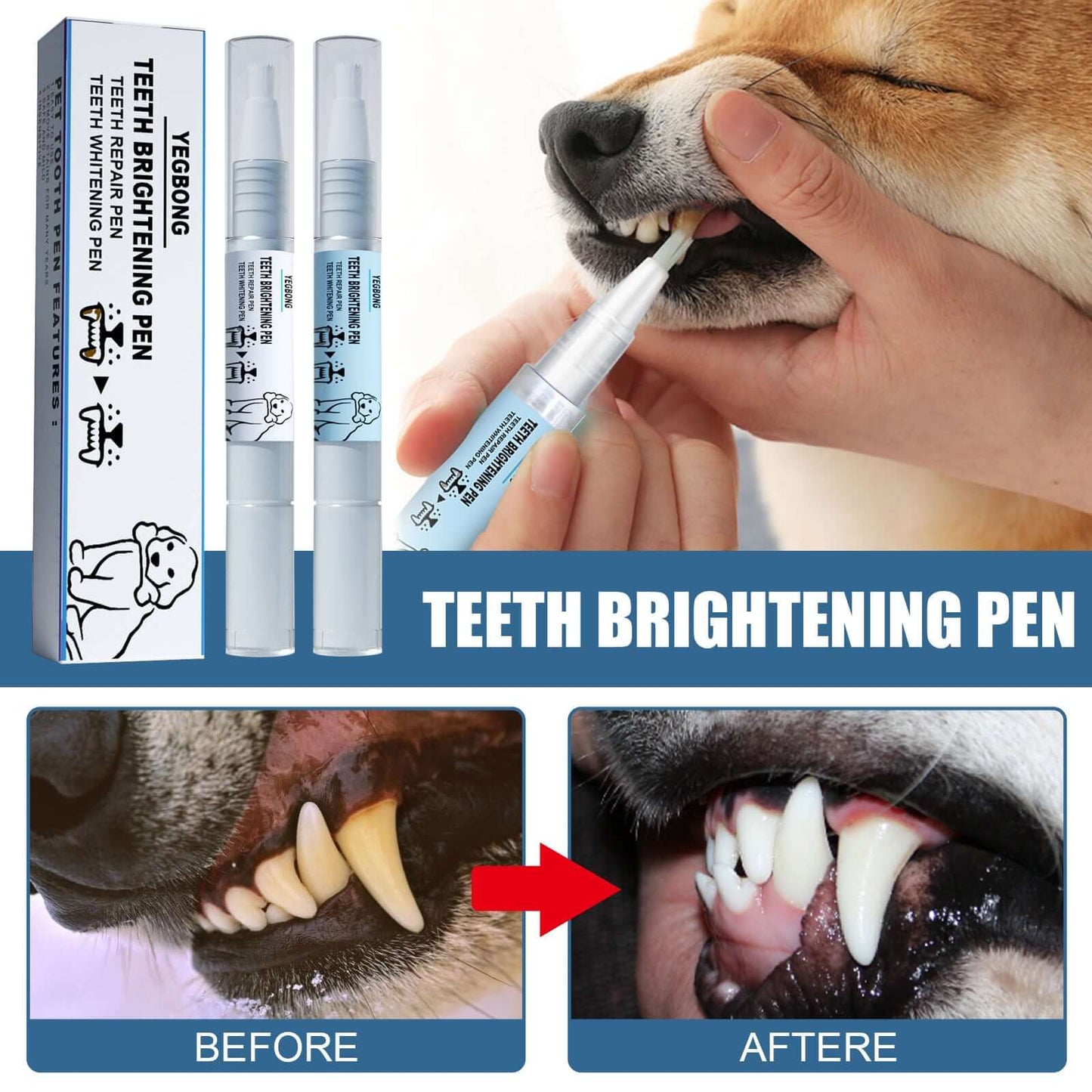Applying pet teeth whitening gel pen to a dog’s teeth using built-in brush applicator