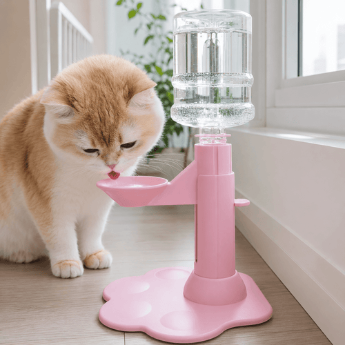 Pink adjustable cat water dispenser with cat drinking