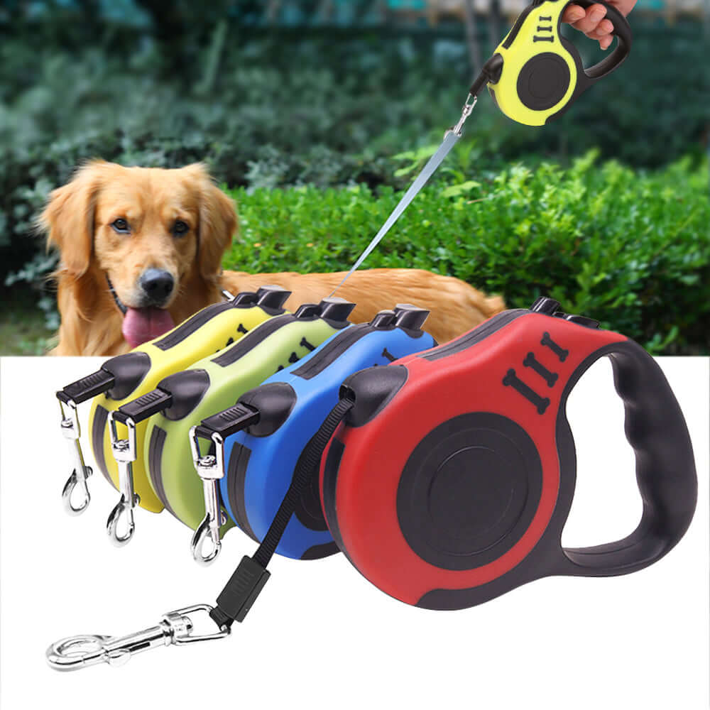 Dog leash in use with medium-sized dog in grassy park