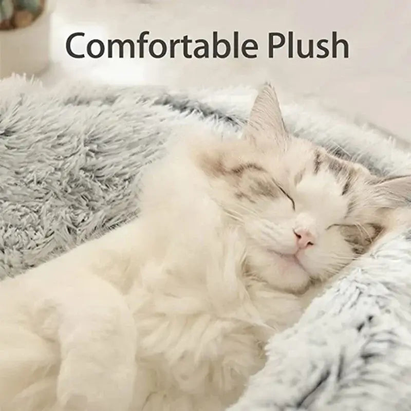Cat curled up in calming pet bed with cover