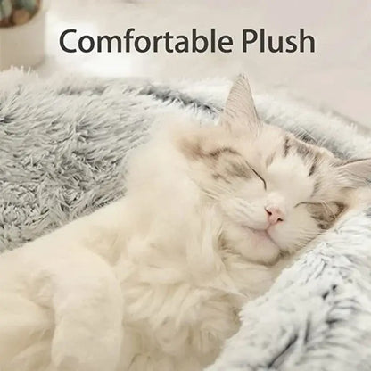 Cat curled up in calming pet bed with cover