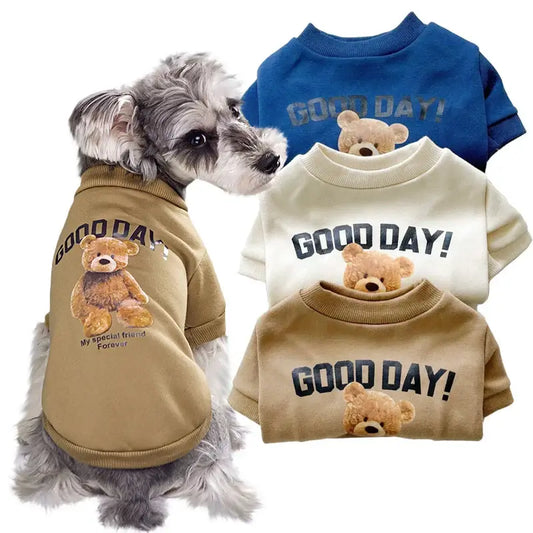 Small dog wearing cozy cartoon bear pet hoodie