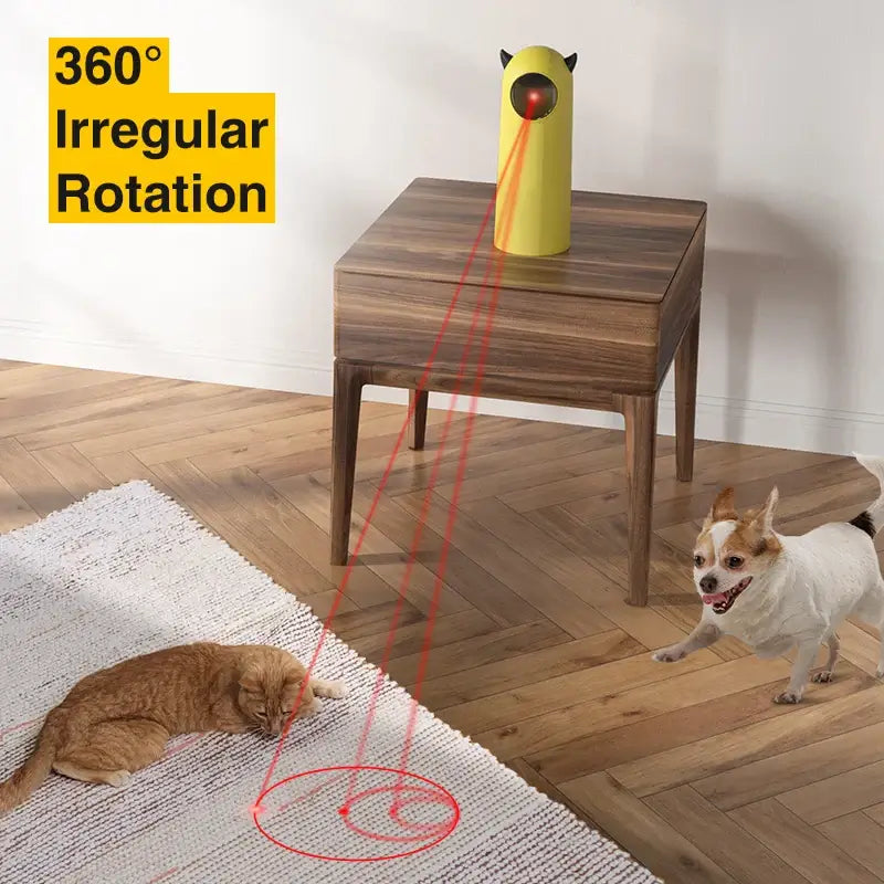 cat playing with red laser