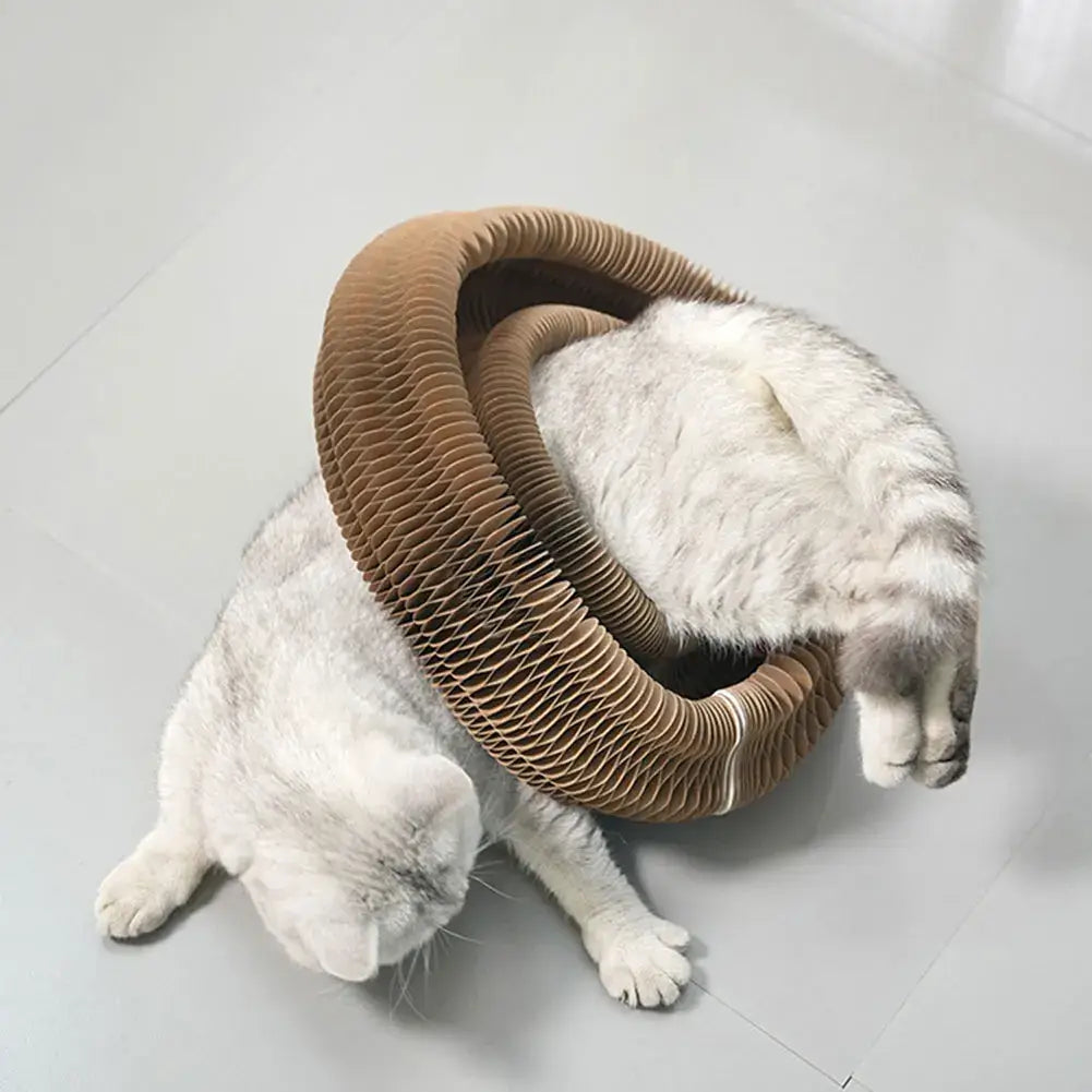 Cat entering circular tunnel made from PurrFlex scratcher