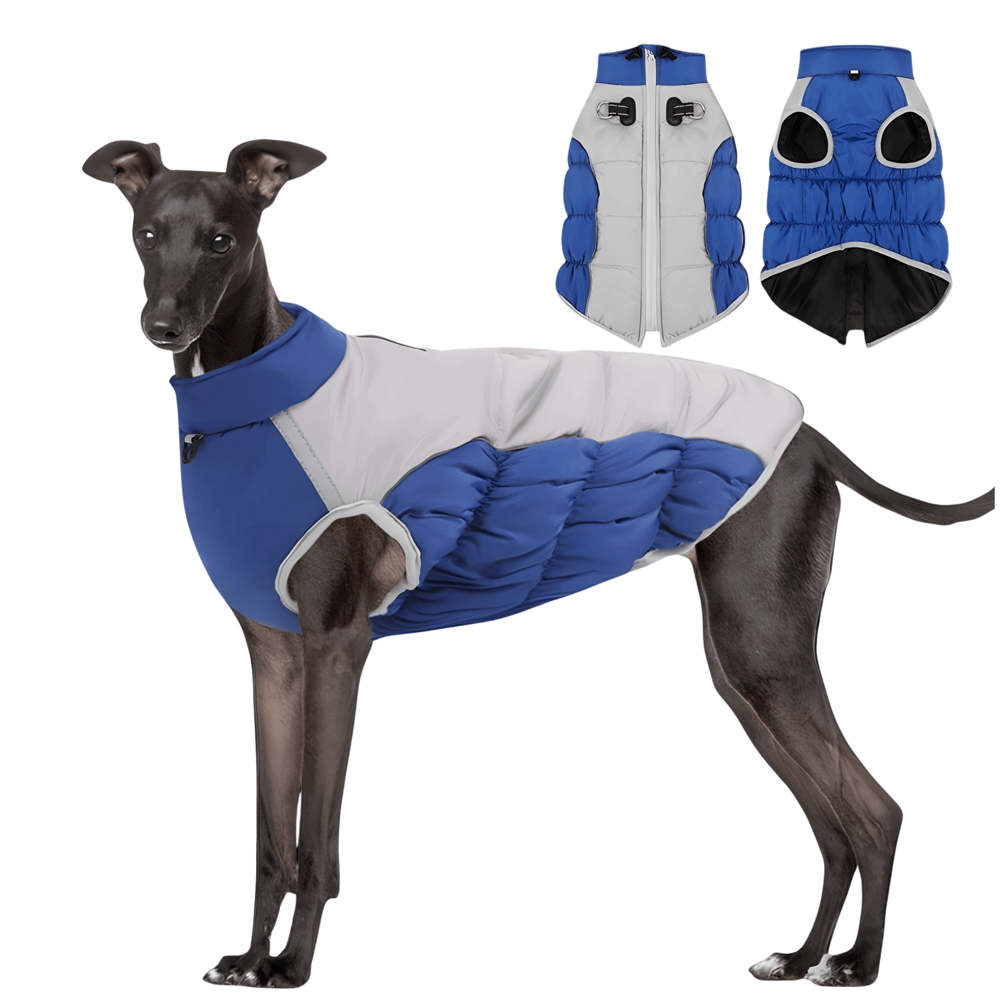 winter dog coat navy blue with built-in harness