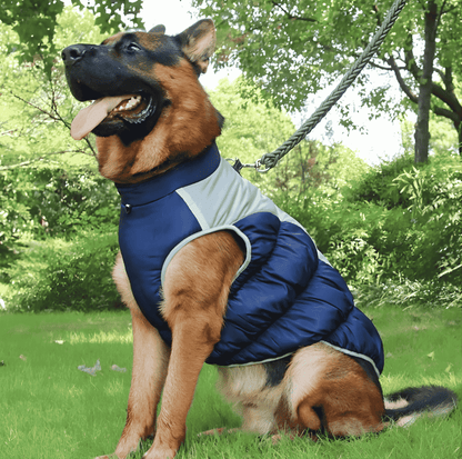 winter dog coat with built-in harness