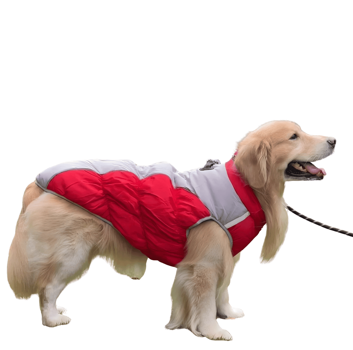Winter Dog Coat – Insulated w/ Built-In Harness