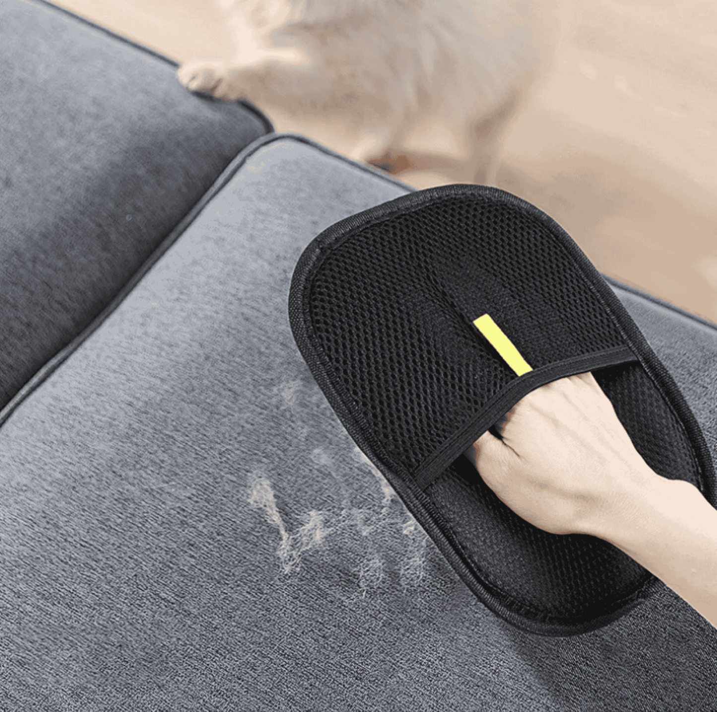 PawGlide – Gant réutilisable anti-poils statiques pour animaux de compagnie