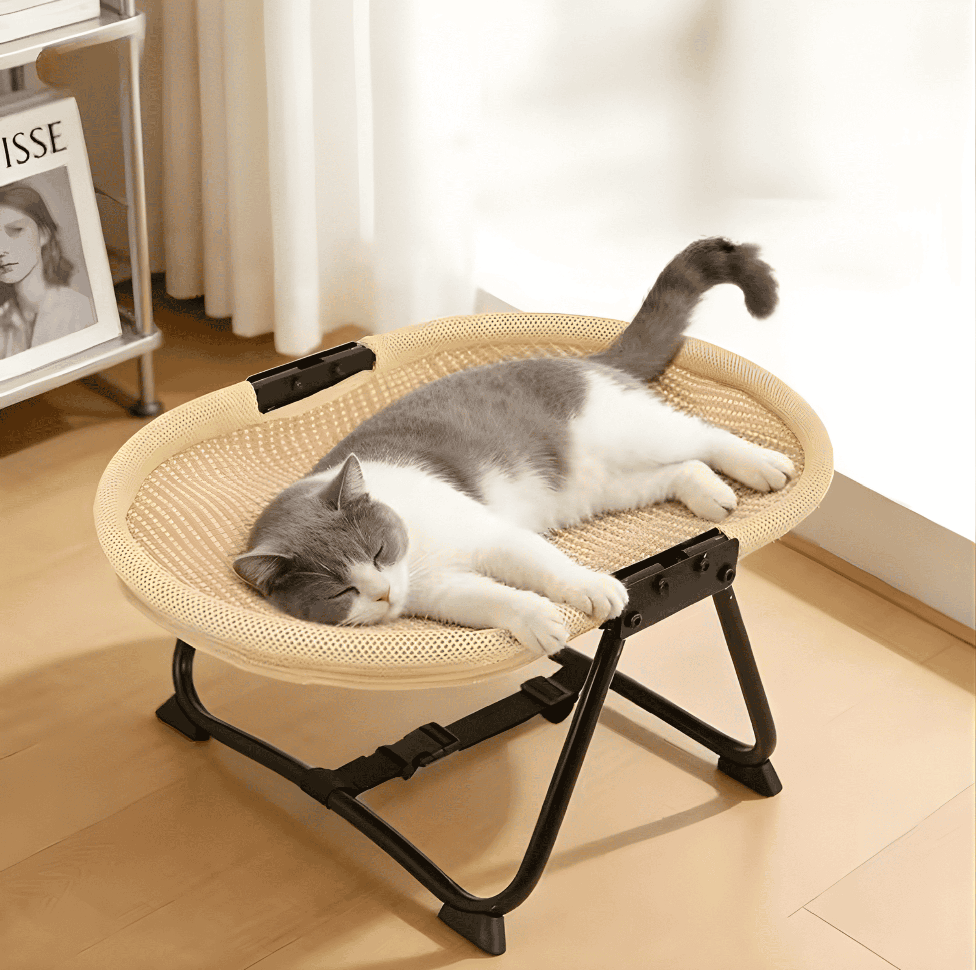 elevated pet bed with cat lounging on scratch resistant cover