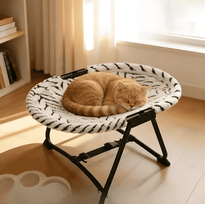 elevated pet bed with cat lounging on cozy plush cover