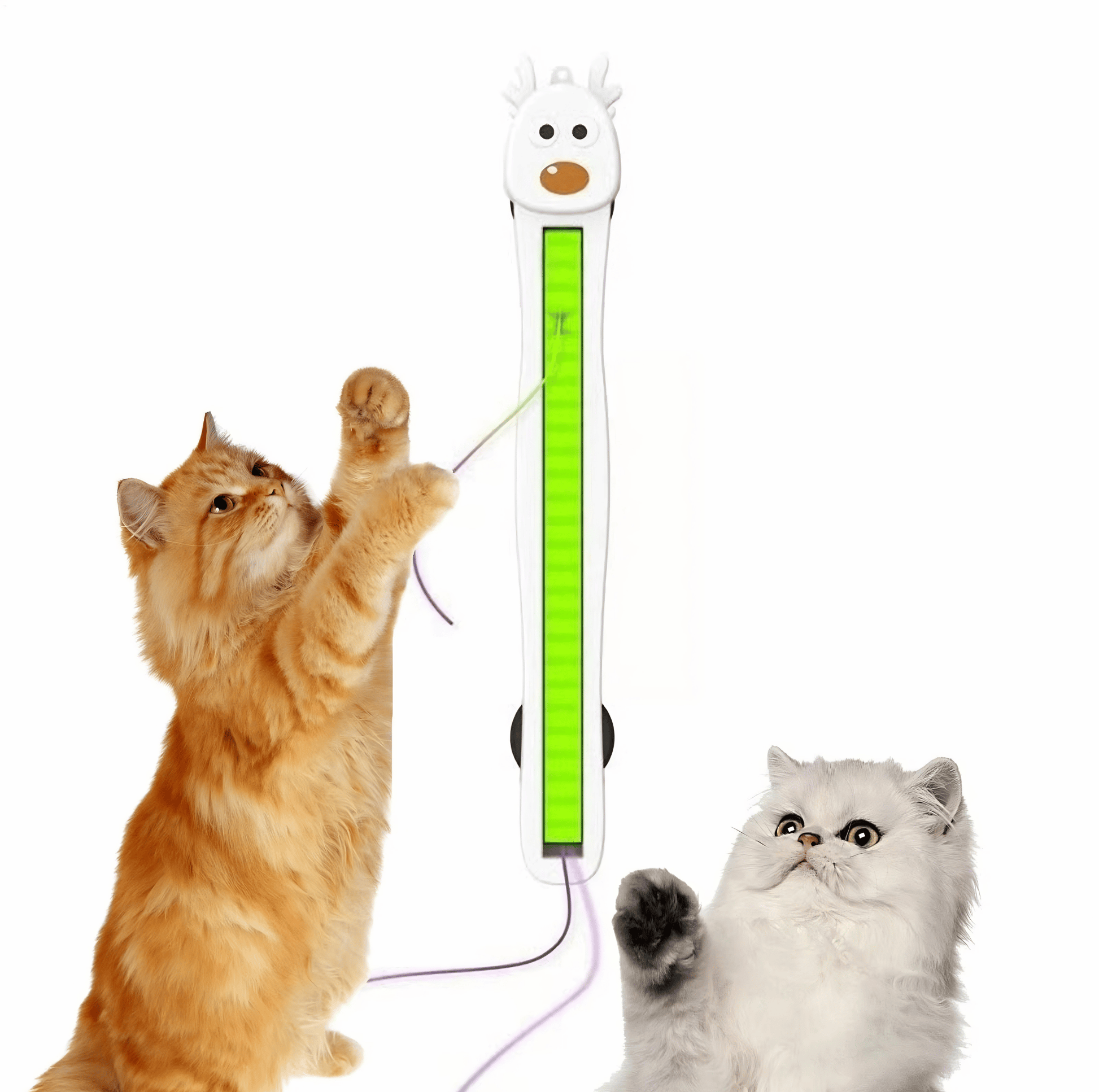Cats playing with an automatic cat toy for indoor cats