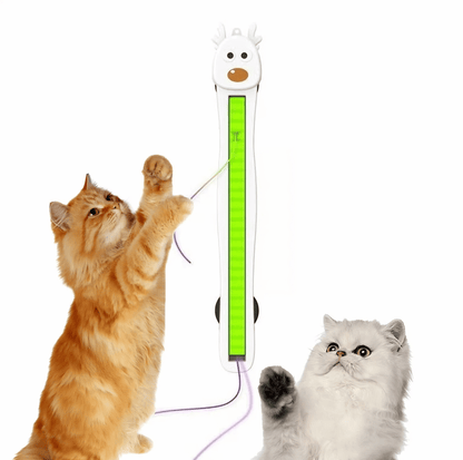 Cats playing with an automatic cat toy for indoor cats