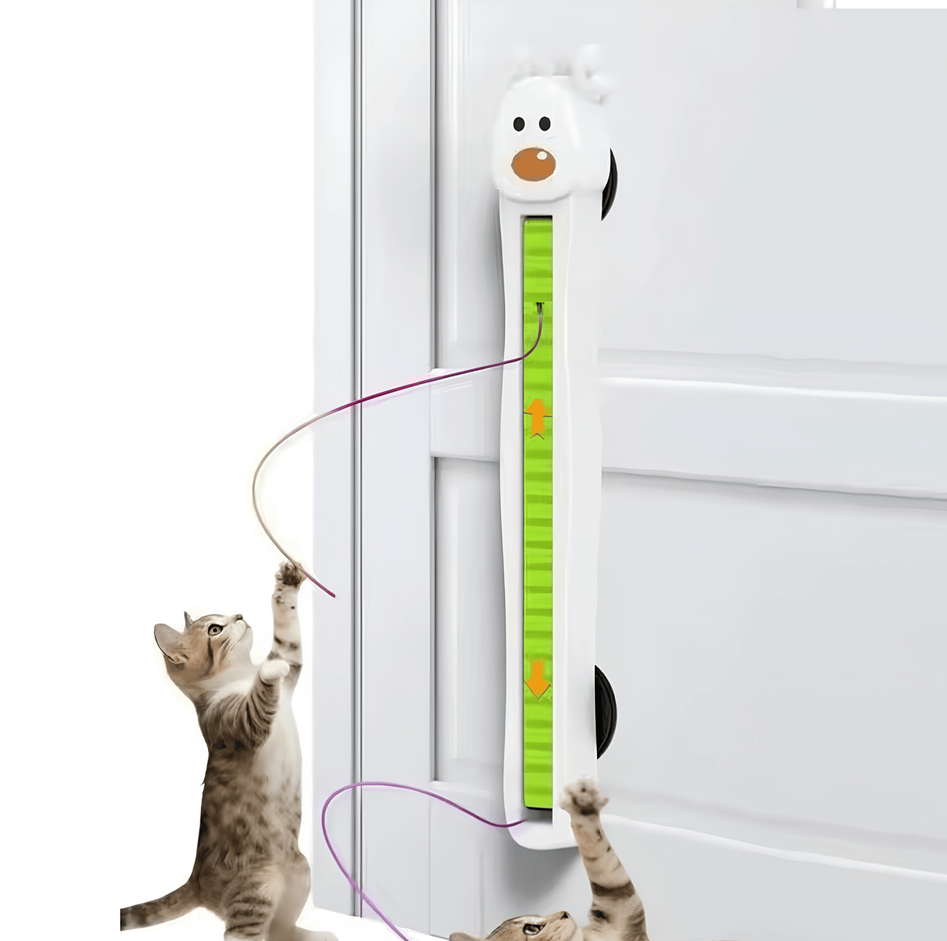 Automatic cat toy for indoor cats mounted on a door for vertical play