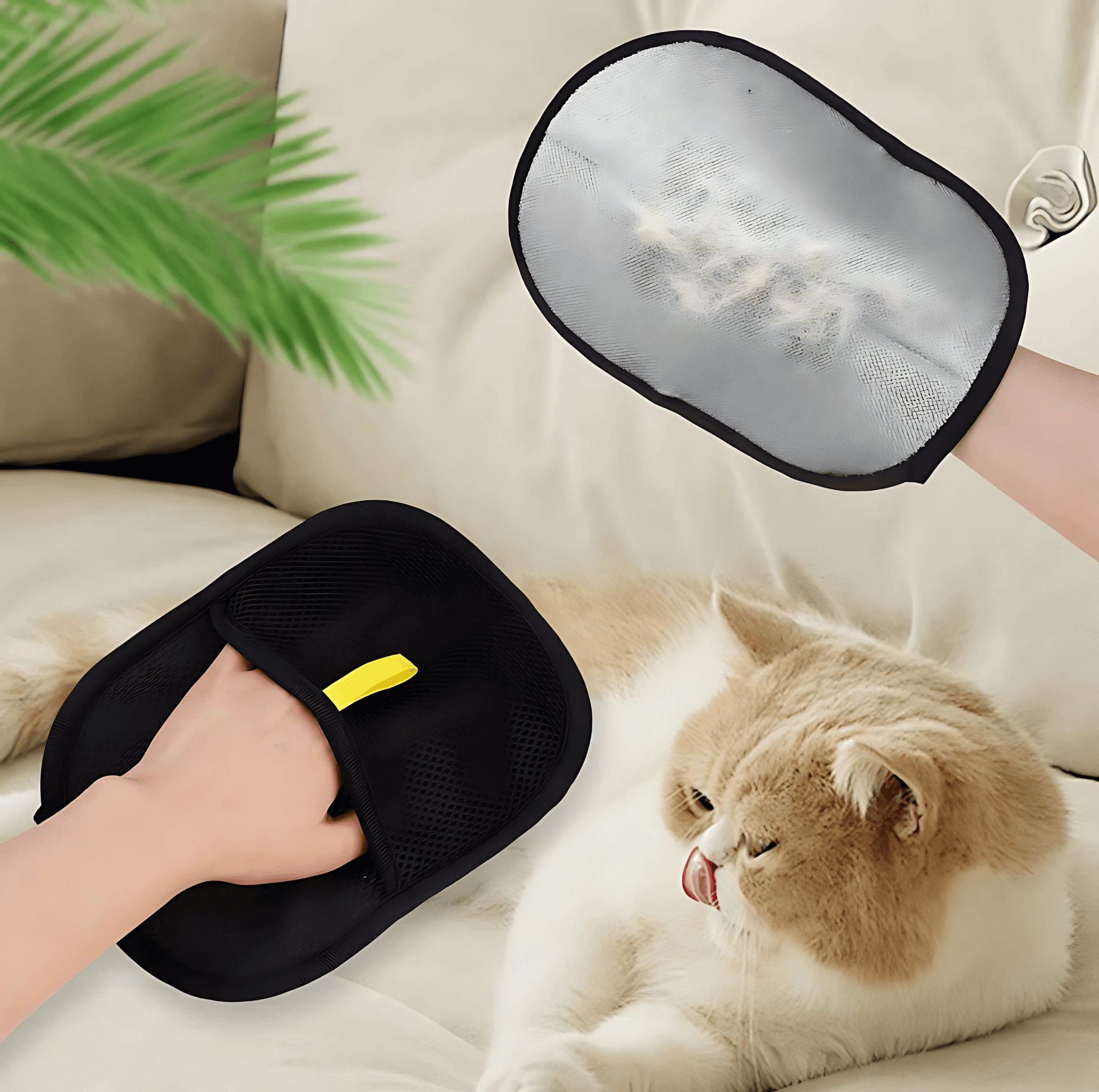 Flat lay of PawGlide glove with grooming tools for pet hair removal