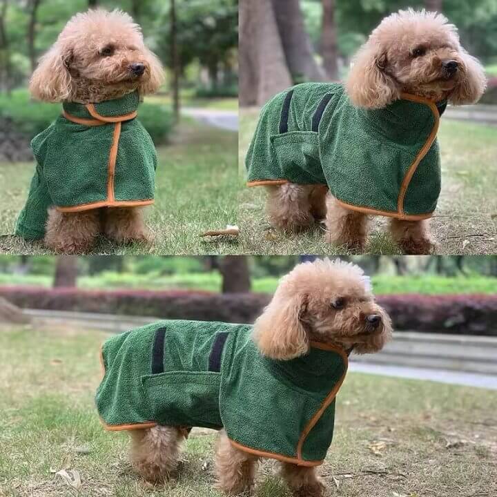 dog wearing PawzDry Luxe Robe after bath