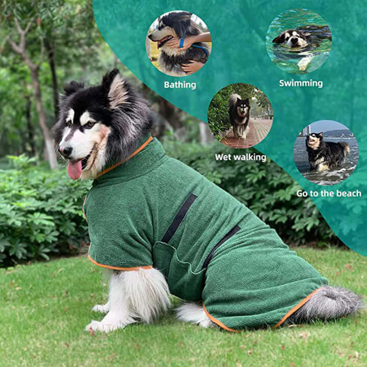 dog wearing PawzDry Luxe Robe after bath