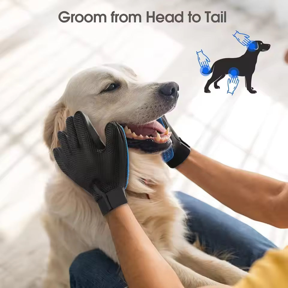 pet hair glove pawluxe in use grooming dog removing loose fur gentle deshedding