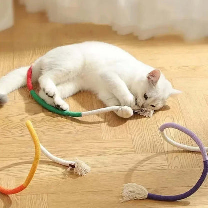 Cat playing with Silvervine Molar Bite Rope on floor