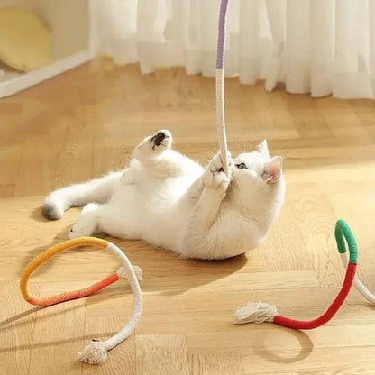 Cat playing with Silvervine Molar Bite Rope on floor